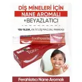 Foramen Diş Mineleri İçin Nane Aromalı Beyazlatıcı Vegan Diş Macunu 75 ml