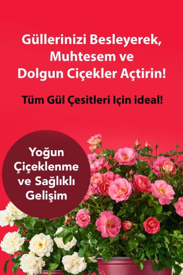 Petroturk Gül Sıvı Bitki Besini Kullanıma Hazır 250Ml